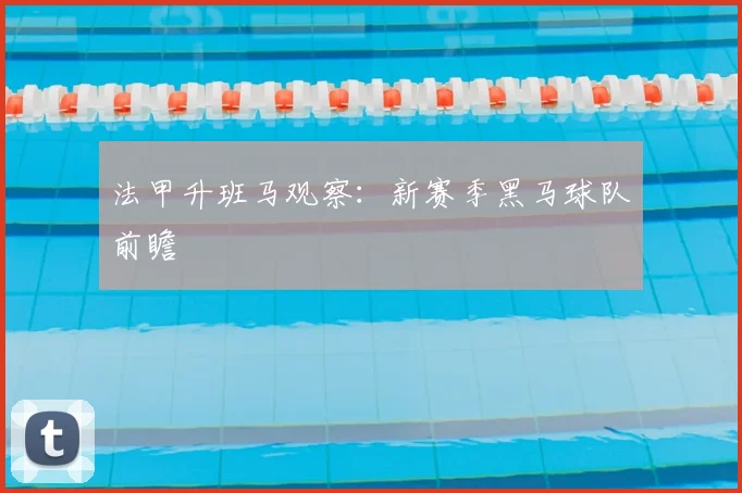 法甲升班马观察：新赛季黑马球队前瞻