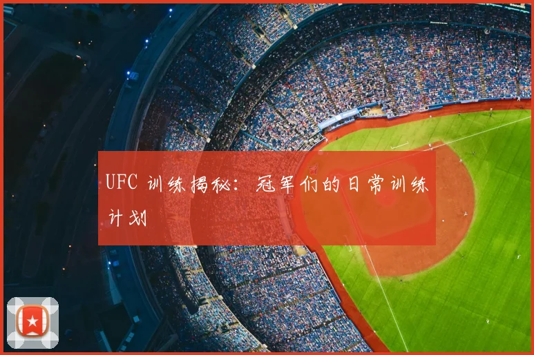 UFC 训练揭秘：冠军们的日常训练计划