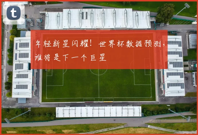 年轻新星闪耀！世界杯数据预测，谁将是下一个巨星